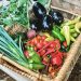 basket of vegetables